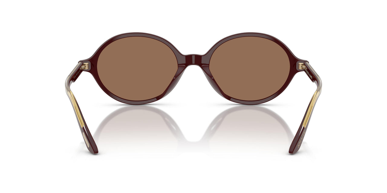 178973 - Violet - Brown