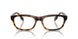 3002 - Brown