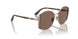 848/73 - Gold - Dark Brown