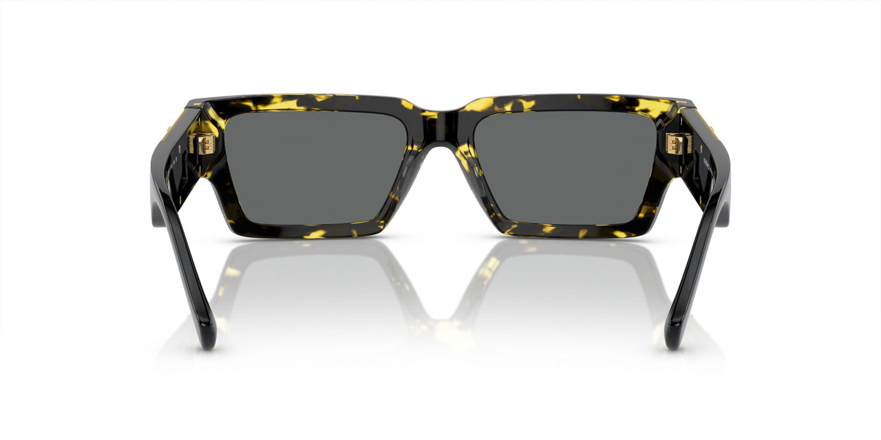 542887 - Tortoise - Dark Grey