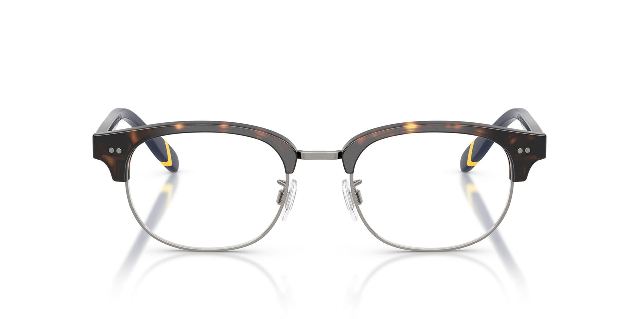 5003 - Tortoise