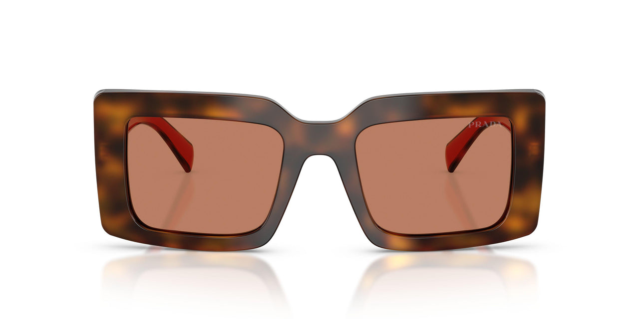 01K90Q - Tortoise - Brown