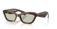 10072 - Tortoise - Green Wash
