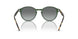 309211 - Green - Grey Gradient