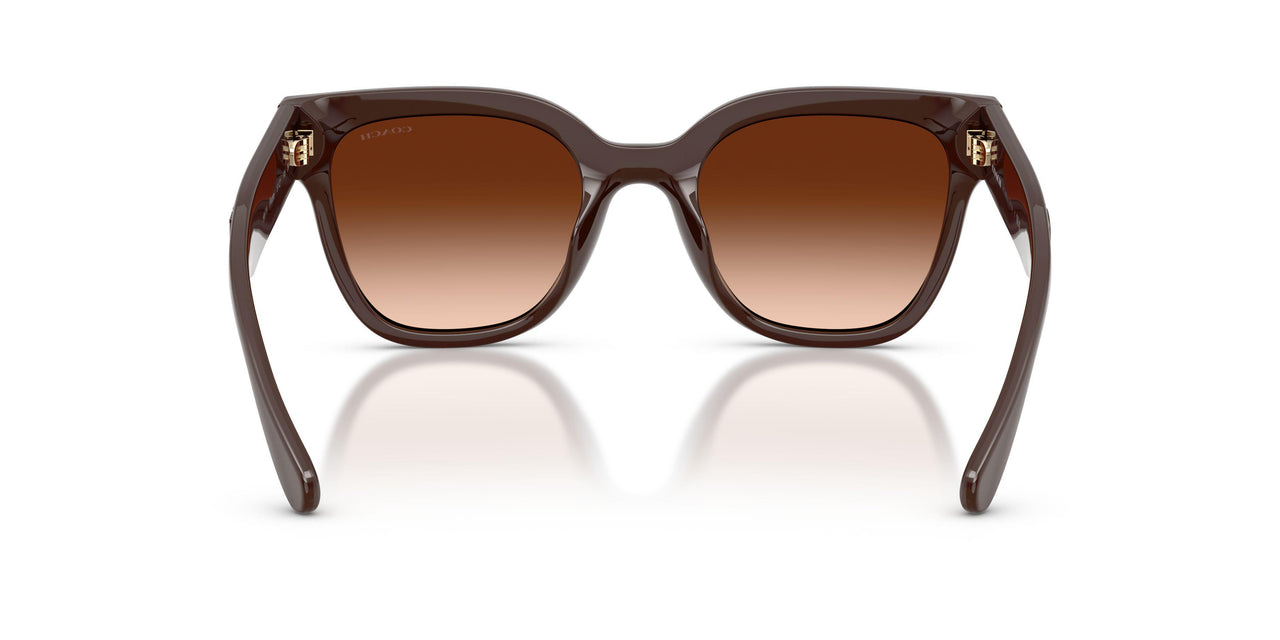 595774 - Brown - Brown Gradient