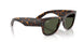 902/31 - Tortoise - Green