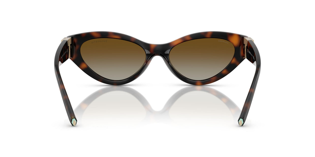8015T5 - Tortoise - Polar Brown Gradient