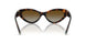 8015T5 - Tortoise - Polar Brown Gradient