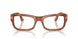 96/GI - Brown - Transitions 8 Brown