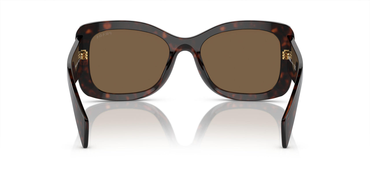 16N5Y1 - Brown - Dark Brown Polarized