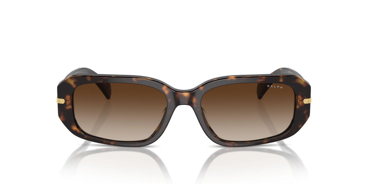 500313 - Brown - Gradient Brown
