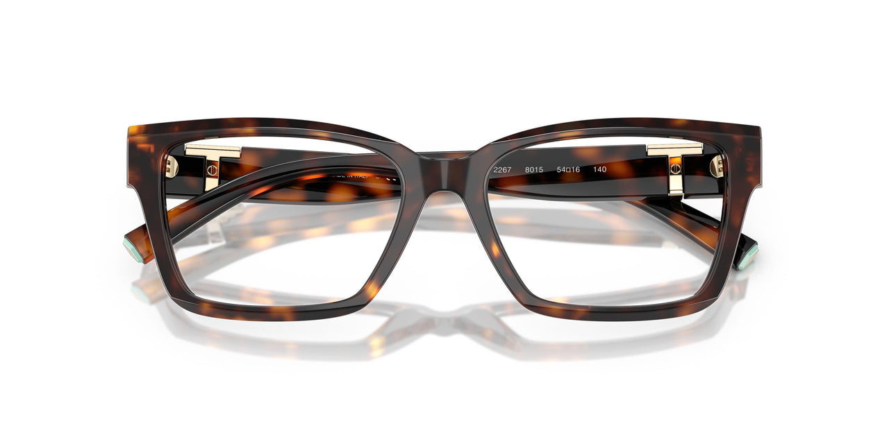 8015 - Tortoise