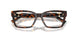 8015 - Tortoise