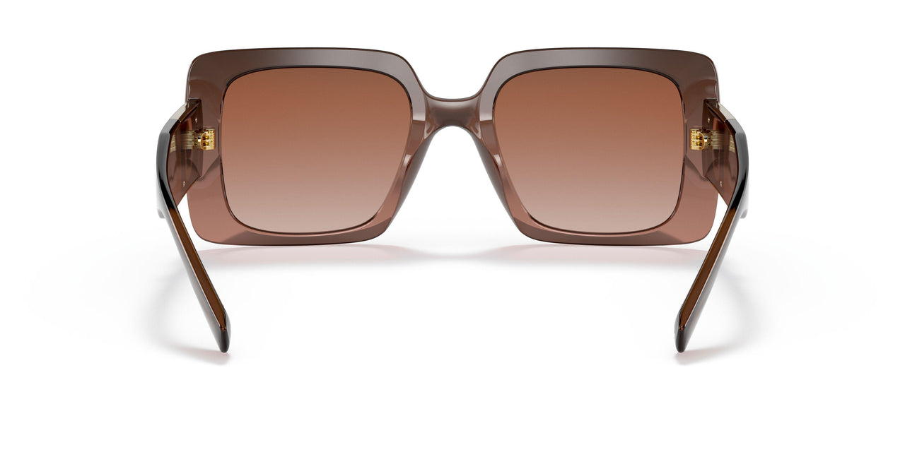 533213 - Brown - Brown Gradient