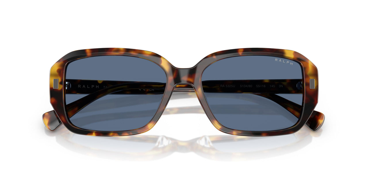 513480 - Tortoise - Dark Blue