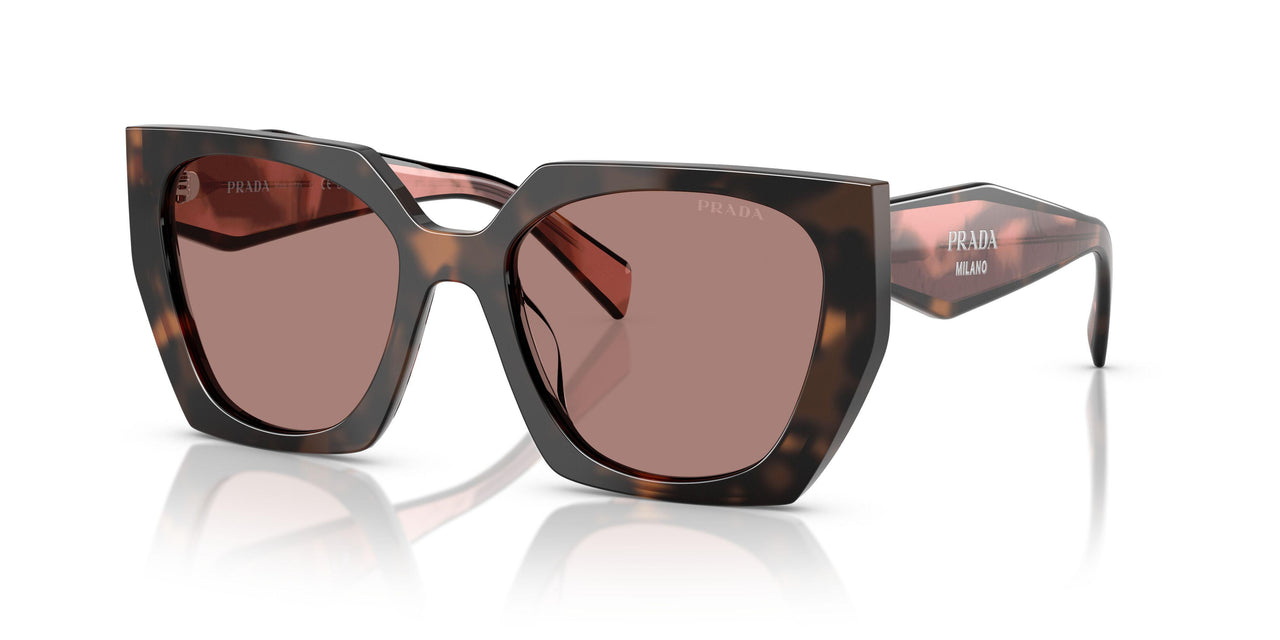 23A60B - Tortoise - Light Brown
