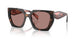 23A60B - Tortoise - Light Brown