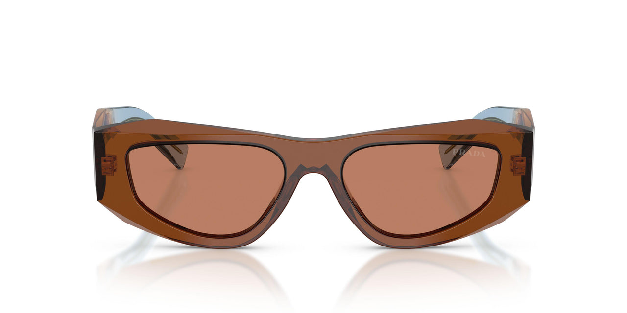25F90Q - Brown - Brown