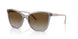 3099T5 - Grey - Grey Gradient Brown Polar