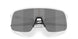 949613 - White - Prizm Black