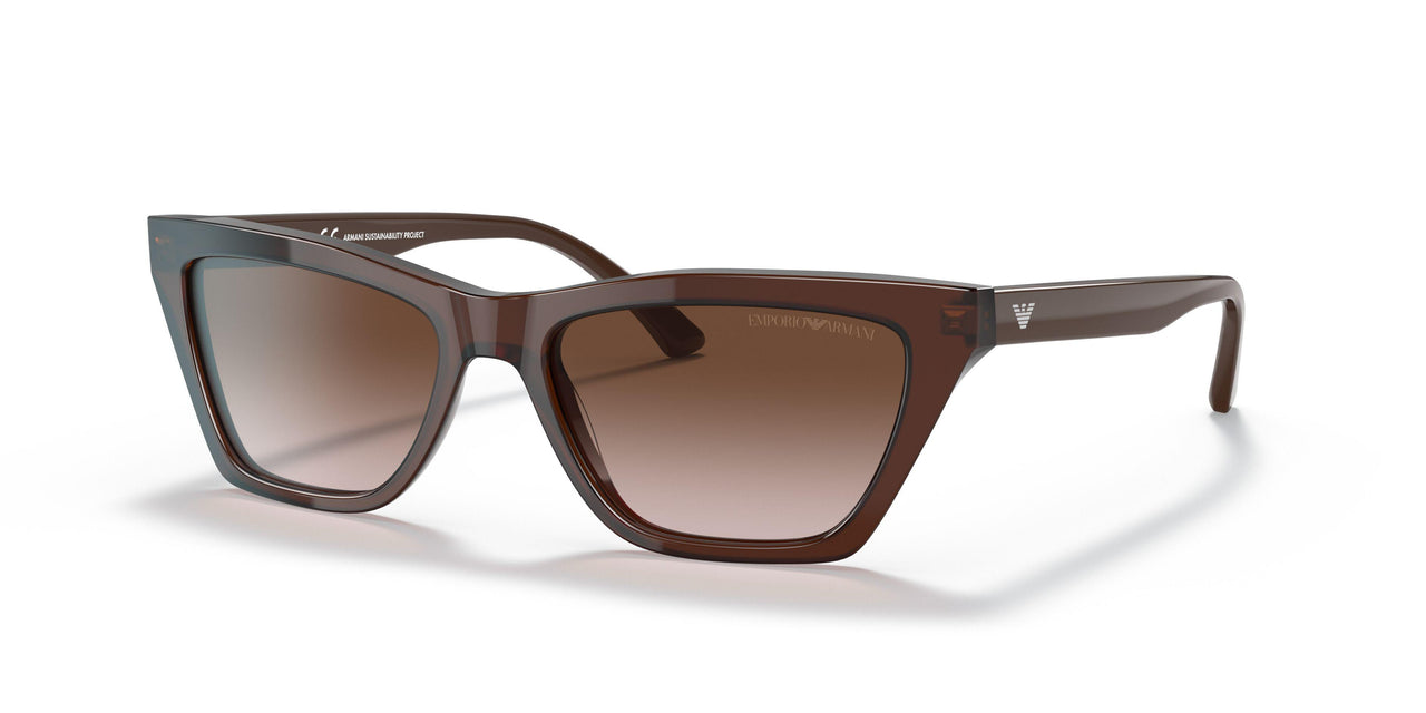 591013 - Brown - Gradient Brown