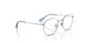 4090 - Silver - Clear