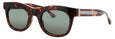 TRT/WG - Tortoise/white Gold - Green Tint
