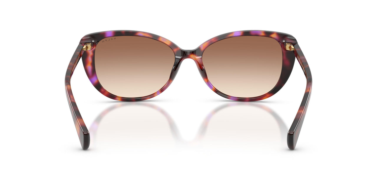 623913 - Violet - Gradient Brown