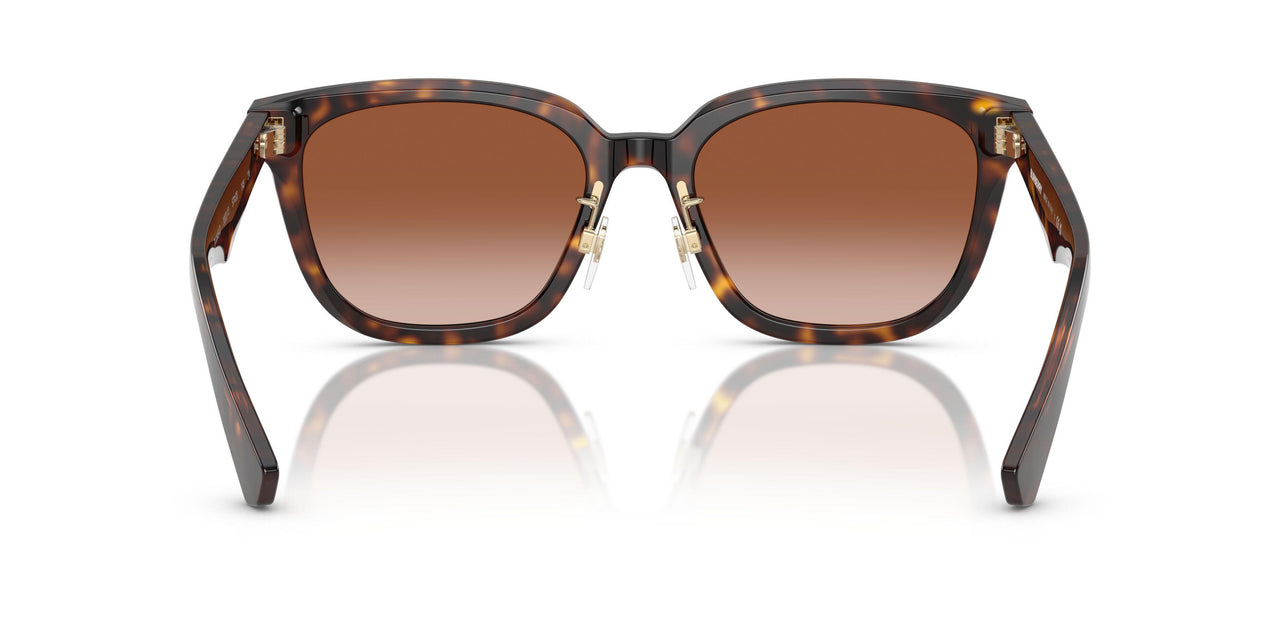 300213 - Brown - Brown Gradient
