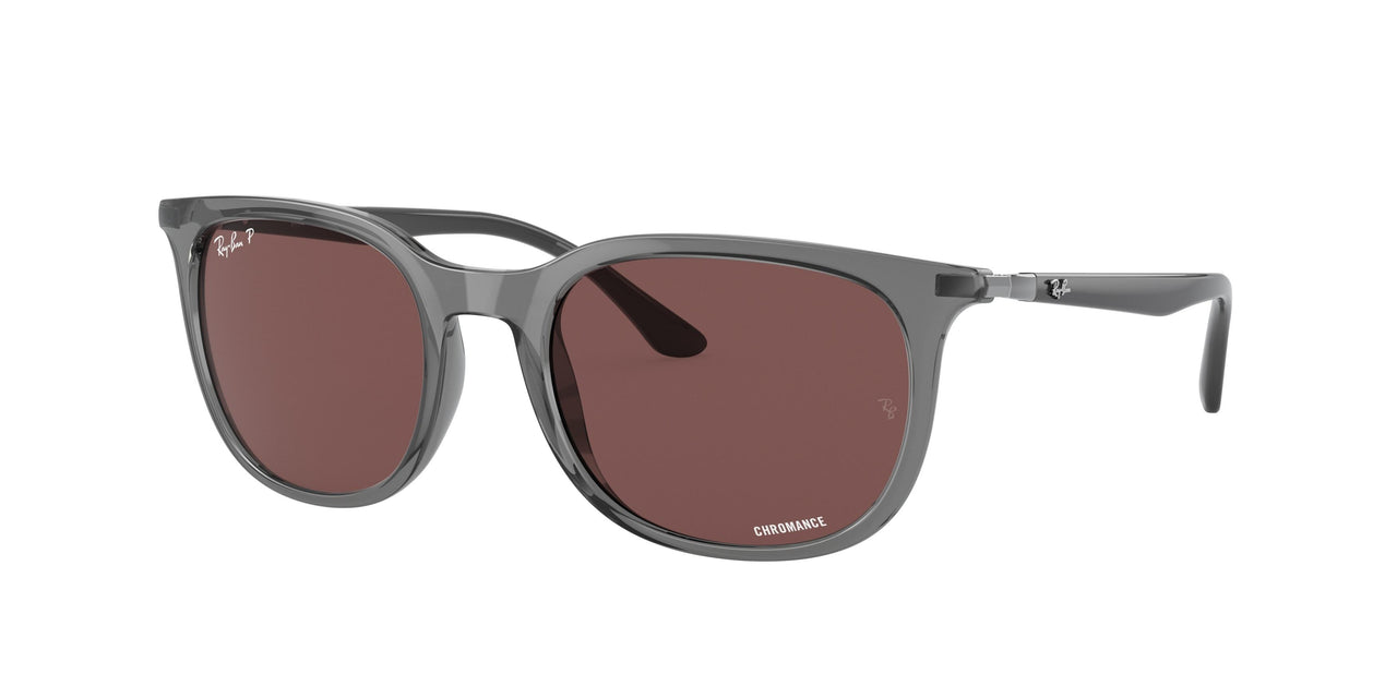 6650AF - Grey - Polar Dark Violet