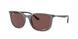 6650AF - Grey - Polar Dark Violet