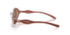 203373 - Clear - Dark Brown
