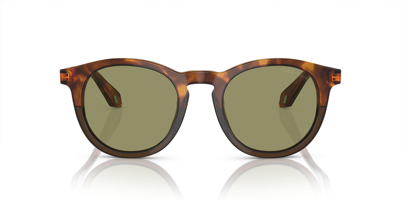 598814 - Brown - Green