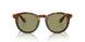 598814 - Brown - Green