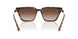 821313 - Tortoise - Gradient Brown