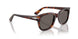 24/B1 - Tortoise - Dark Grey
