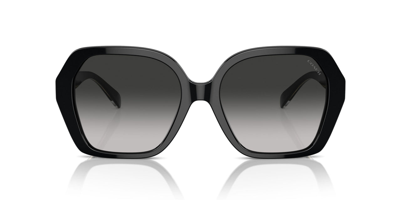 50023C - Black - Grey Gradient