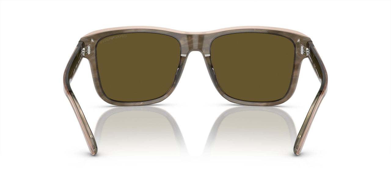 605573 - Green - Dark Brown