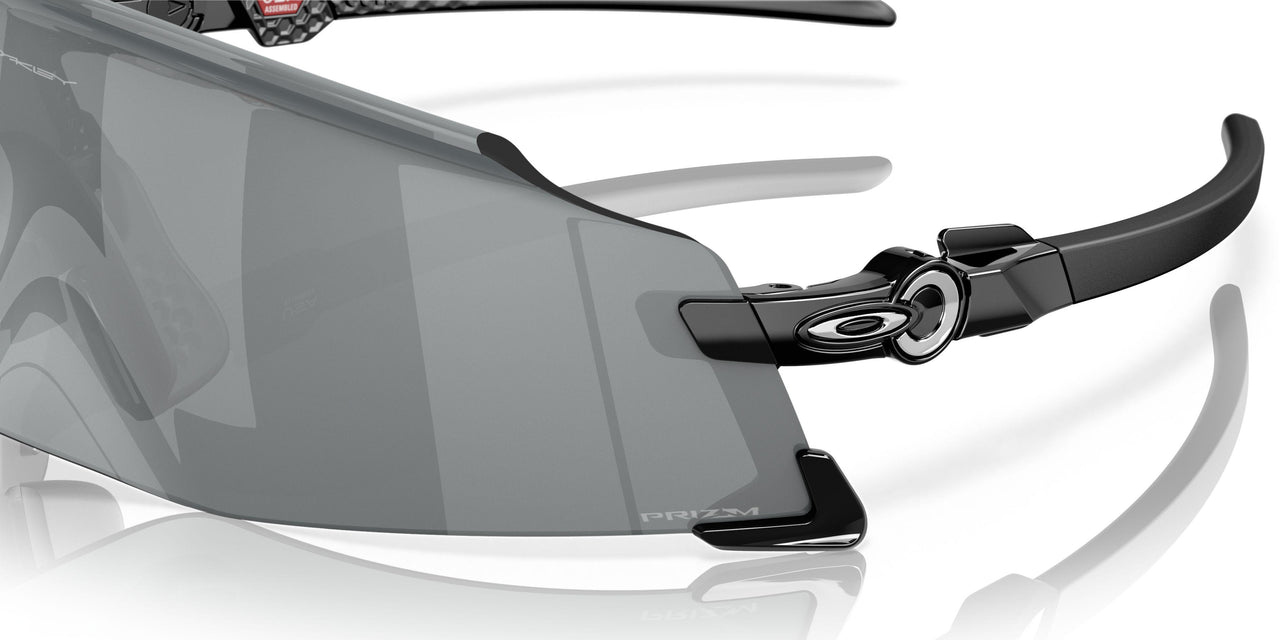 945501 - Black - Prizm Black