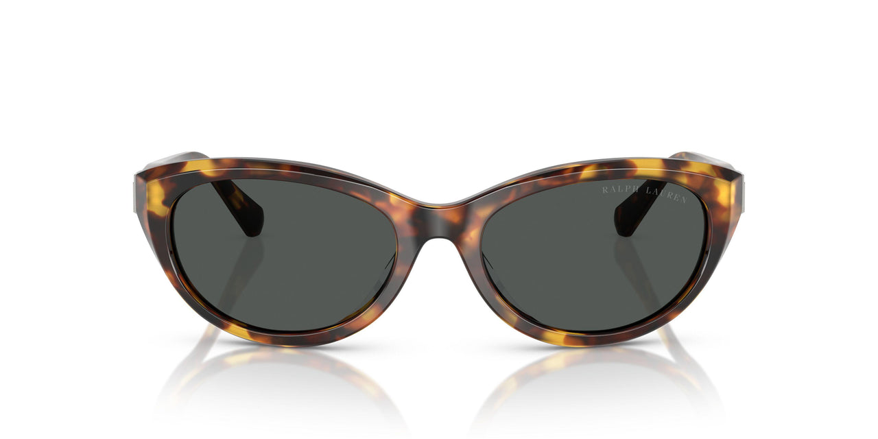 513487 - Tortoise - Grey