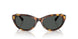 513487 - Tortoise - Grey