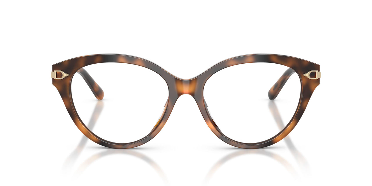 6089 - Tortoise