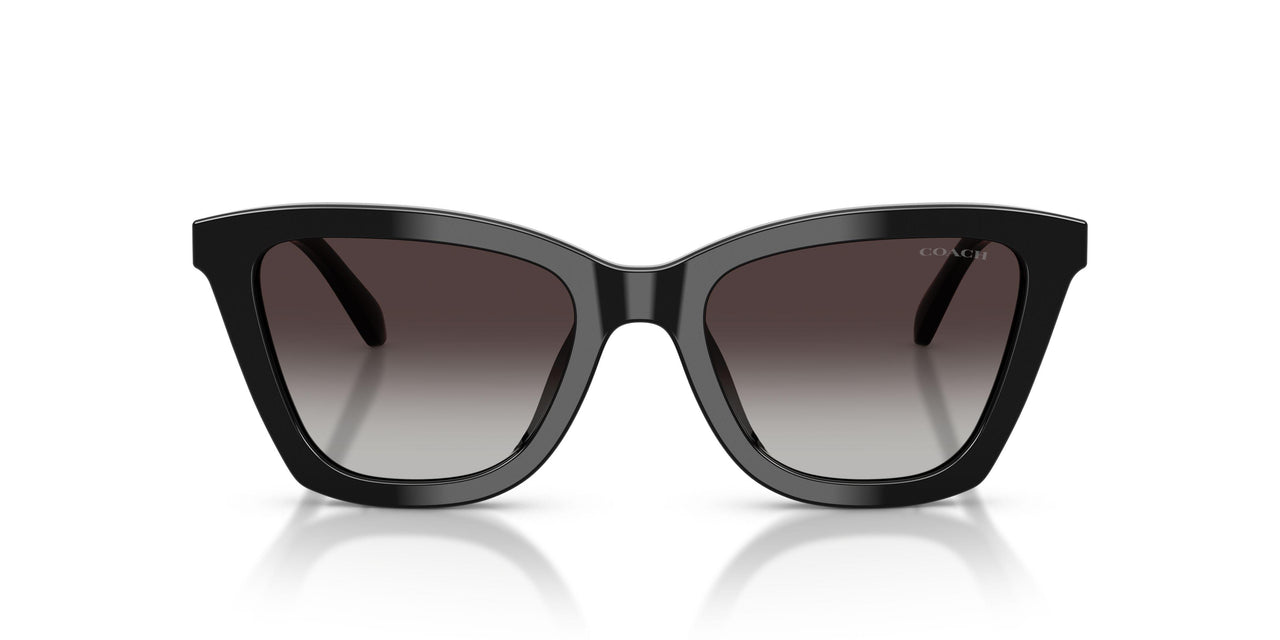 50028G - Black - Grey Gradient