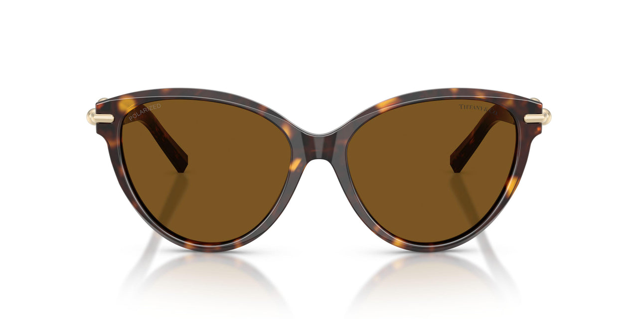 801583 - Tortoise - Dark Brown Polar
