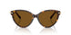 801583 - Tortoise - Dark Brown Polar