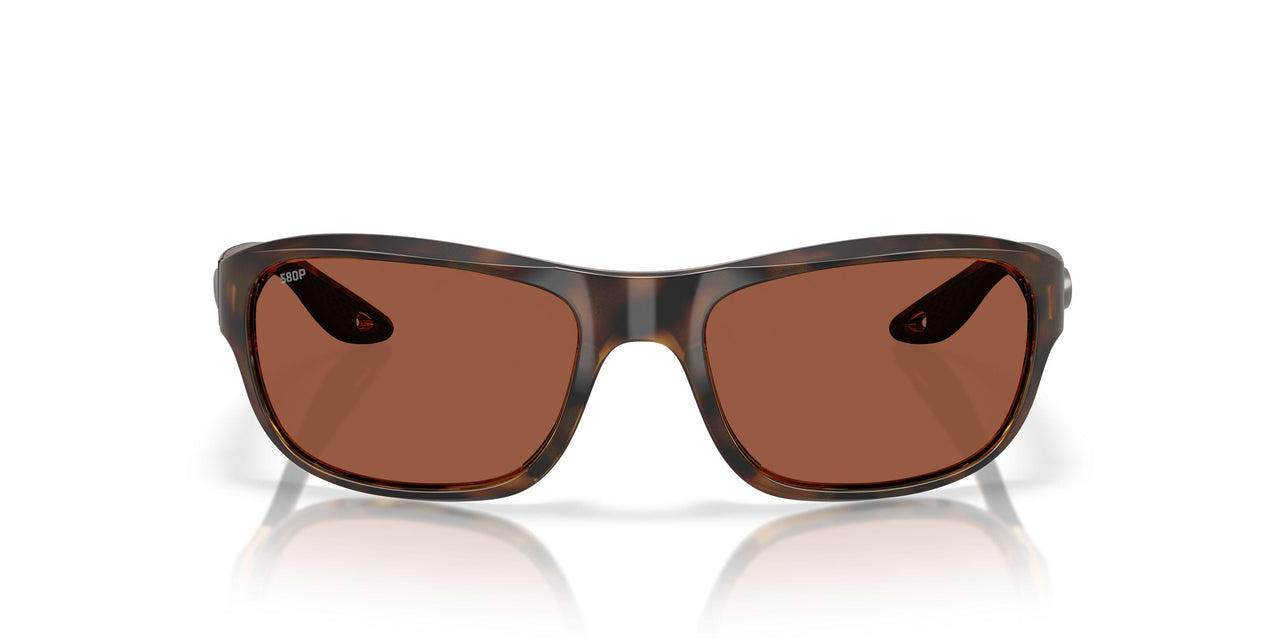 911909 - Tortoise - Copper