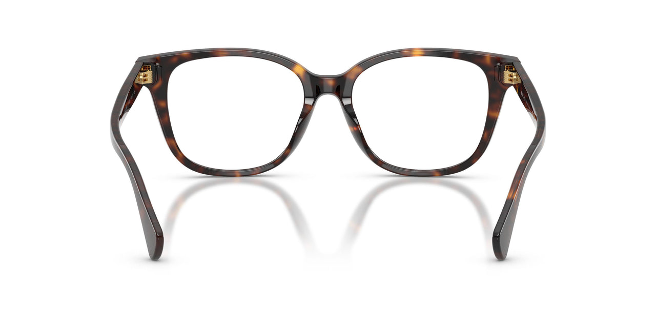 5003 - Brown