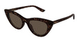 002 - Havana - Brown