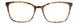 ATO - Amber Tortoise