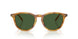 618571 - Tortoise - Bottle Green
